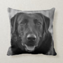Search for black labrador cushions Puppy