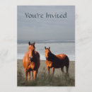 Search for colt invitations Equestrian