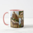 Search for appaloosa horse mugs Horses