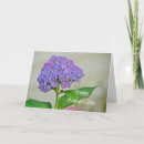 Search for hydrangea mothers day cards Flower