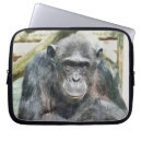 Search for chimpanzee electronics Chimps