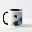 Search for seal pup mugs Animal