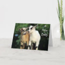 Search for kid congratulations cards New parents