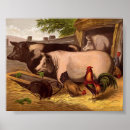 Search for barnyards posters Country