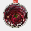 Search for succulent christmas tree decorations Desert plant