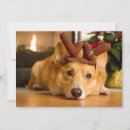 Search for christmas thank you cards Puppy