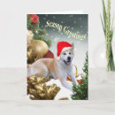 Search for akita christmas cards Dog