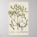 Search for parasite art Illustration