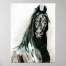 Search for arabians art Equine