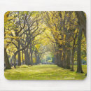 Search for central mousepads Photography