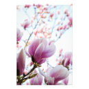 Search for magnolia tree art Pink
