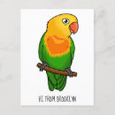 Search for conures postcards Parakeet