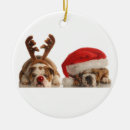 Search for english bulldog christmas decor Santa