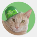 Search for irish cats stickers St patricks day