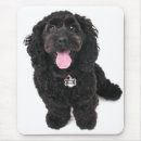 Search for black poodle electronics Pet