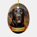 Search for chocolate brown christmas tree decorations Puppy