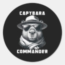 Search for round pig stickers Capybara