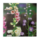 Search for foxgloves tiles Flower