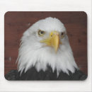 Search for flys mousepads Nature photography