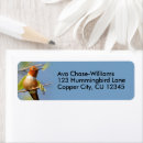 Search for hummingbirder return address labels Red