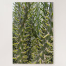 Search for cactus puzzles Plant