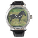 Search for zebra watches Africa