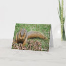 Search for thanks for lunch thank you cards Dinner