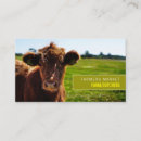 Search for meat business cards Farm