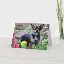 Search for chihuahua birthday cards Cute