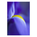 Search for brenda posters Yellow