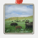 Search for bison christmas tree decorations North dakota
