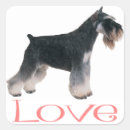 Search for schnauzer stickers Puppies