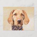 Search for vizsla postcards Puppy