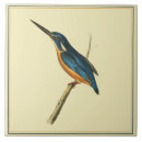 Search for kingfisher bird tiles Blue
