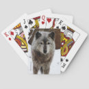 Search for wolf playing cards Dogs