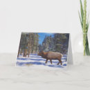 Search for elk christmas cards Forest