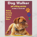 Search for pet cat flyers Groomer