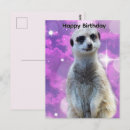 Search for meerkat birthday cards Suricate