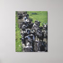 Search for dairy cow canvas prints Farm