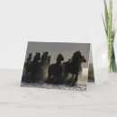 Search for iii cards Horses