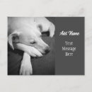 Search for simple dog postcards Minimalist