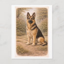 Search for german shepherd postcards Antique
