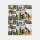 Search for elephant photo blankets Animal