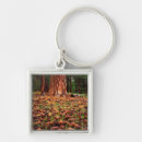 Search for pine trees key rings Botanical