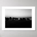 Search for pass photography Nature