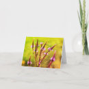 Search for flower blank note cards Floral