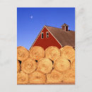 Search for bale of hay postcards Red