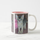 Search for abyssinian mugs Kitten