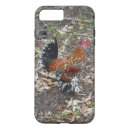 Search for bantam electronics Poultry