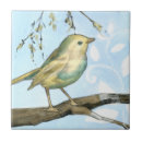 Search for looking up tiles Bird